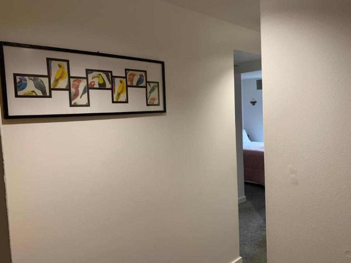 Drummond Condo 爱丁堡 外观 照片